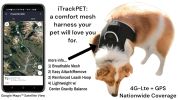 Consistent Realtime Mini Cat Dog GPS Tracking Collar Waterproof Device Size:M