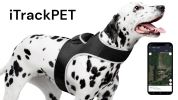 Waterproof Tracking Collars for Hunting Dogs Realtime GPS Pet Tracker Size:S