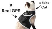 Realtime GPS GSM Collar Mount Pet Locator w/ Precise Dog Tracker Apps Size:XS